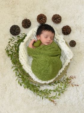 عکاسی نوزاد پسر با میوه های کاج در آتلیه شاپرک